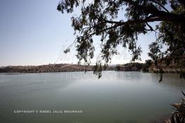 Image du Maroc Professionnelle de  Le Barrage Machraa Hamadi dont la capacité est de 42 Millions de m3, est construit sur l'Oued Moulouya, il permet, depuis 1956, d'approvisionner la région et d'irriguer les terres de cultures, ce barrage fournit en eau potable les ville de Nador, Oujda, il permet également l'approvisionnement des centre de Taourirte et El Aïoun Sidi Mellouk. Samedi 1er octobre 2005. (Photo / Abdeljalil Bounhar) 